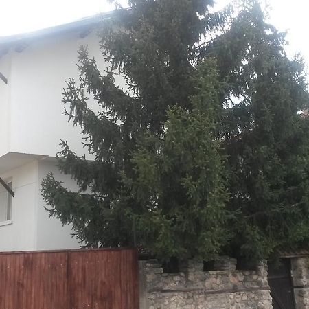 Guest House Khizhina - Easy Home Sapareva Banya Εξωτερικό φωτογραφία